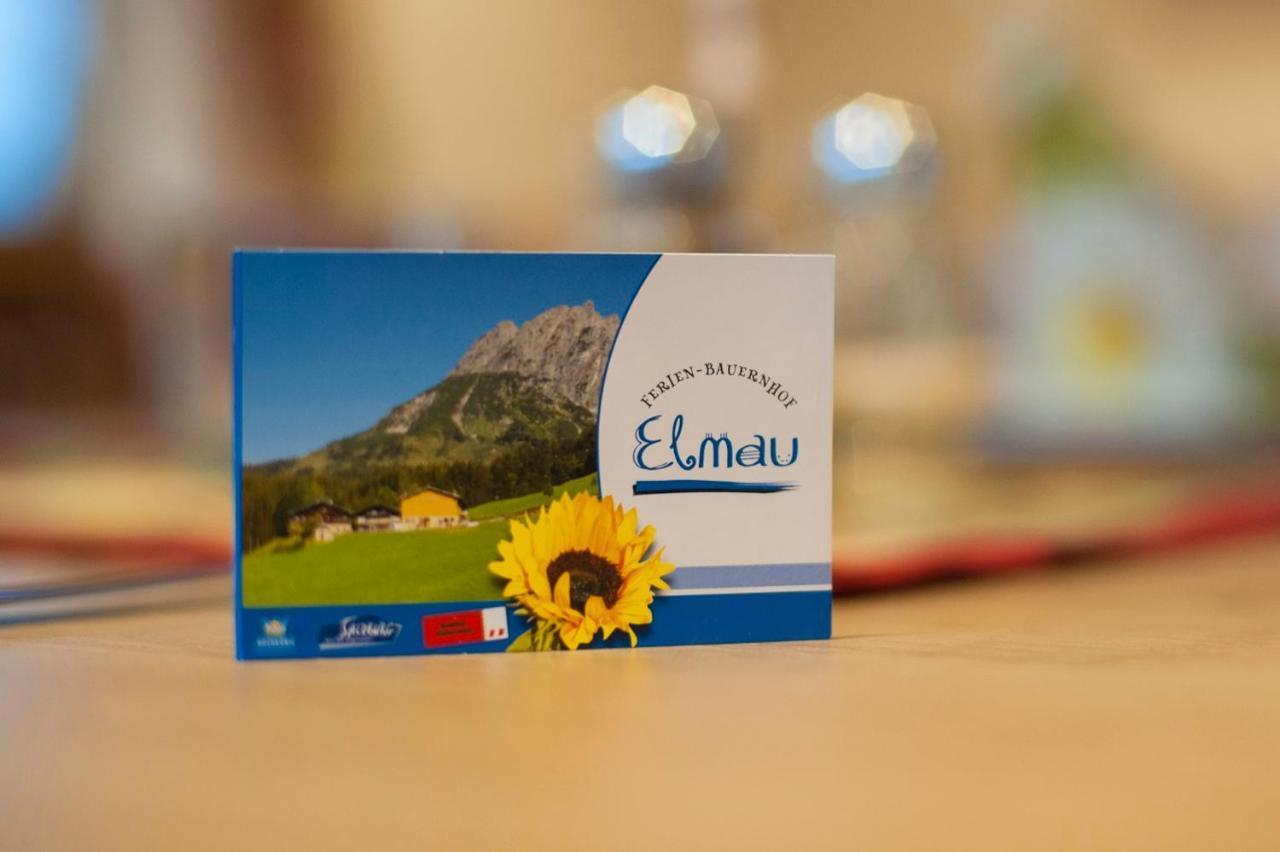 Ferienbauernhof Elmaugut Villa มึลบาค อัม โฮคเคอนิก ภายนอก รูปภาพ